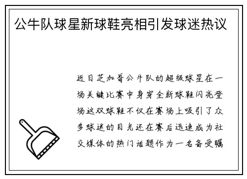 公牛队球星新球鞋亮相引发球迷热议